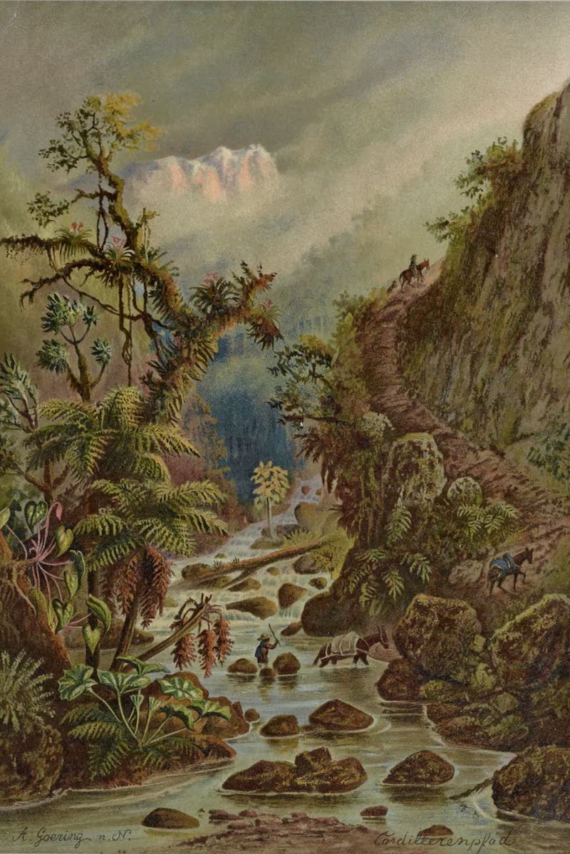Vom Tropischen Tieflande zum Ewigen Schnee - Cordillererenpfad (1892)