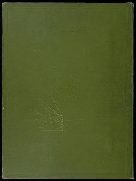 Vom Tropischen Tieflande zum Ewigen Schnee - Back Cover (1892)