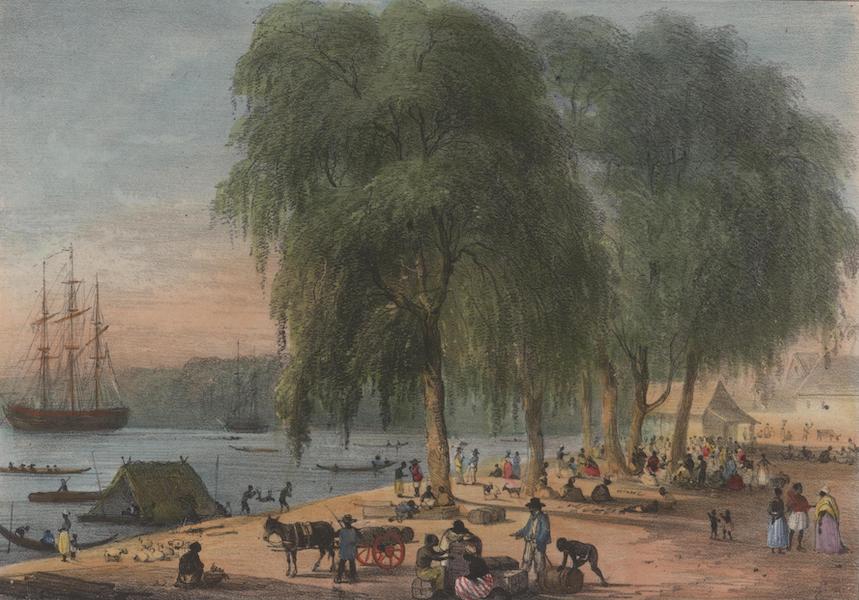 Voyage a Surinam - Marche au Poisson et au Bois, au bord de l'eau, a Paramaribo (1839)