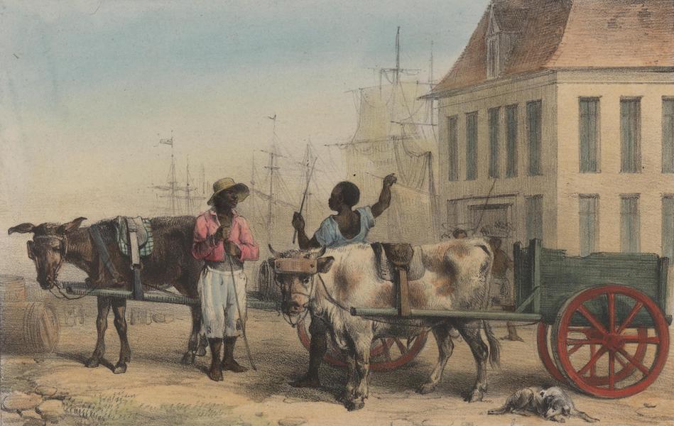 Voyage a Surinam - Poids de la Ville; un bosch-negre avec sa charrette; un voiturier du port avec sa charette (1839)