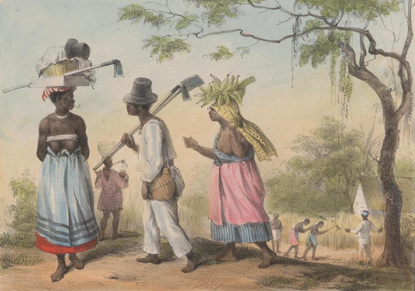 Voyage a Surinam - Esclaves se rendant au travail (1839)