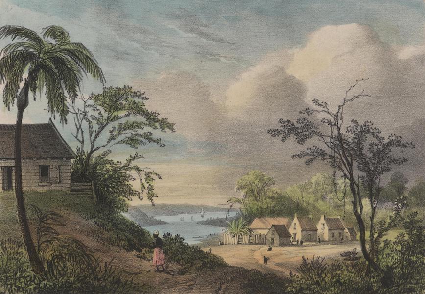 Voyage a Surinam - Village habite par les juifs au sommet de la montagne (1839)