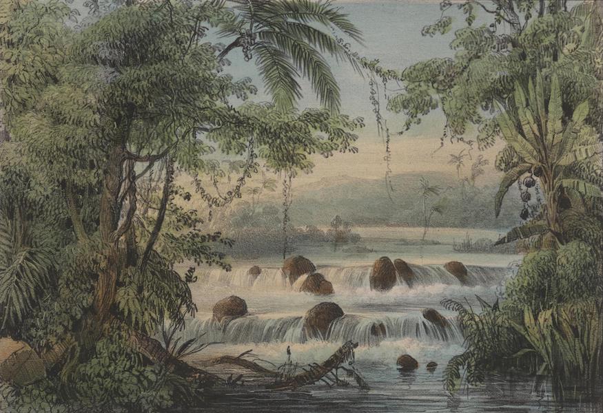 Voyage a Surinam - Cascade au-dela du Blaauwe Berg (1839)