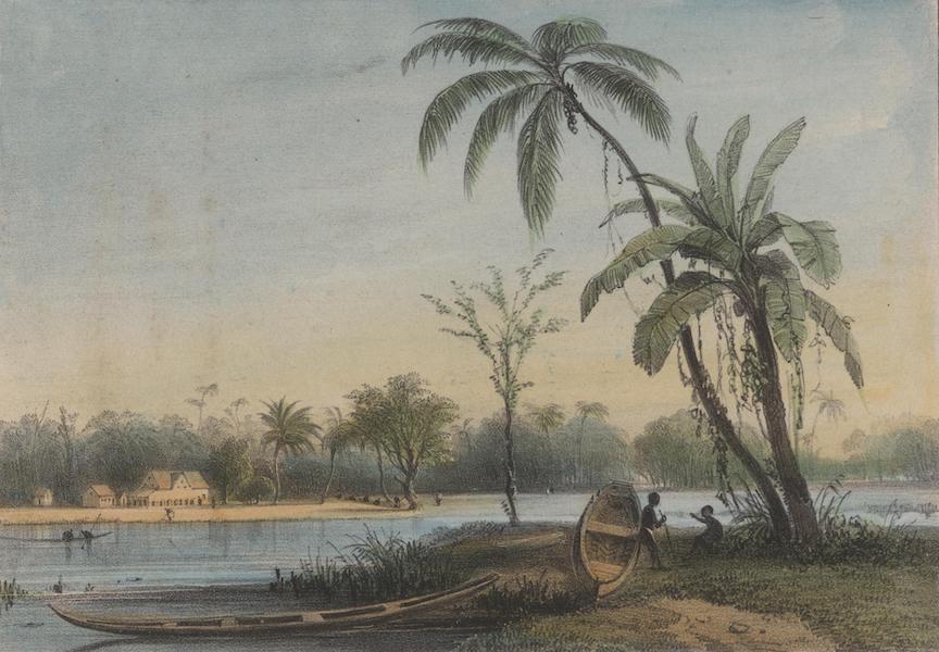 Voyage a Surinam - Hameau de negres (1839)