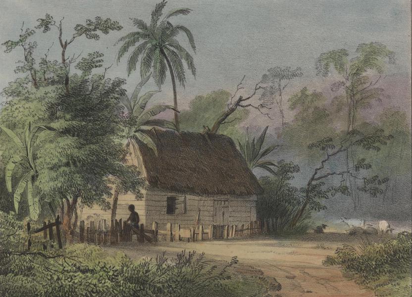 Voyage a Surinam - Habitation de negres (1839)