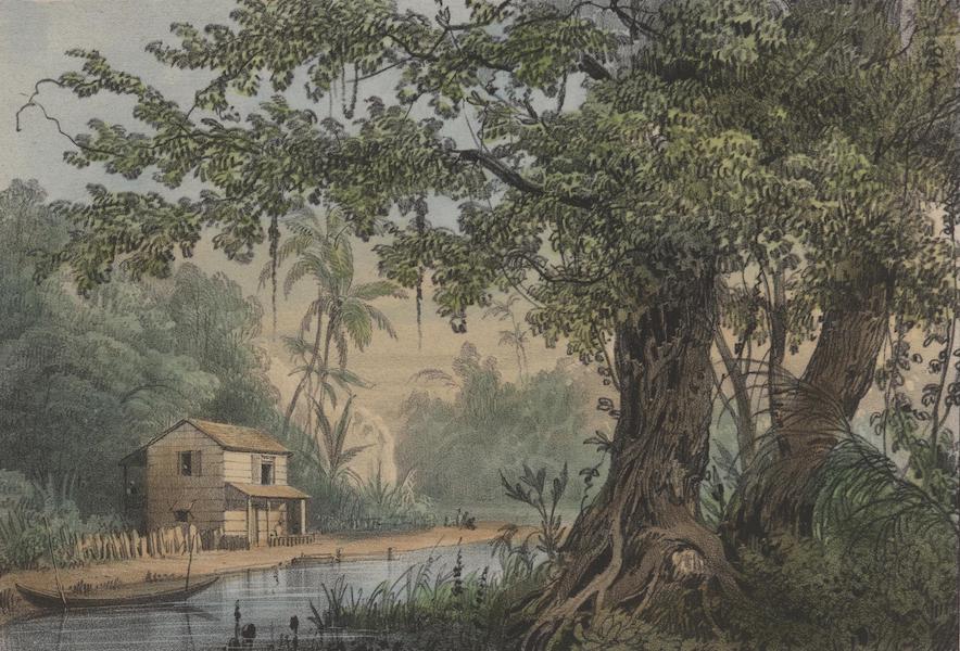 Voyage a Surinam - Combe (1839)