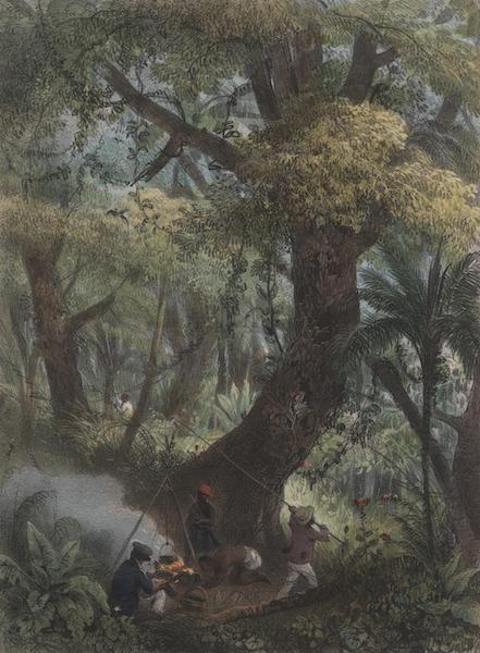 Voyage a Surinam - Chasse aux papillons (1839)