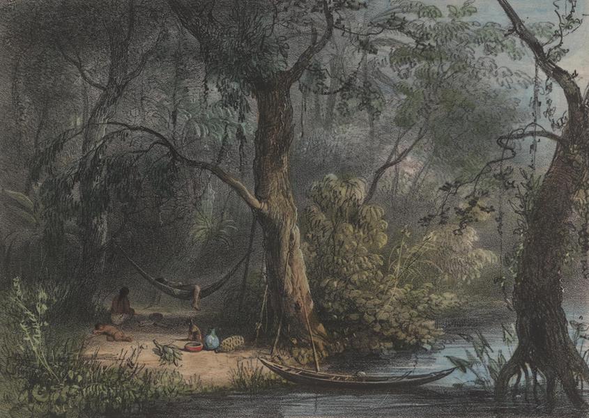 Voyage a Surinam - Une famille indienne dans une foret (1839)