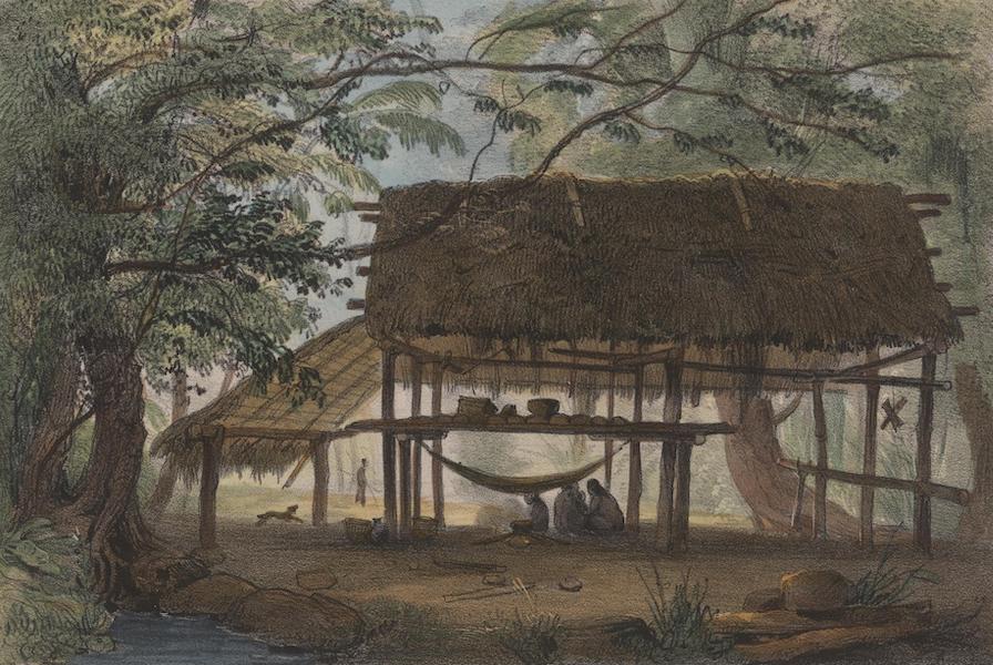Voyage a Surinam - Un carbet (1839)