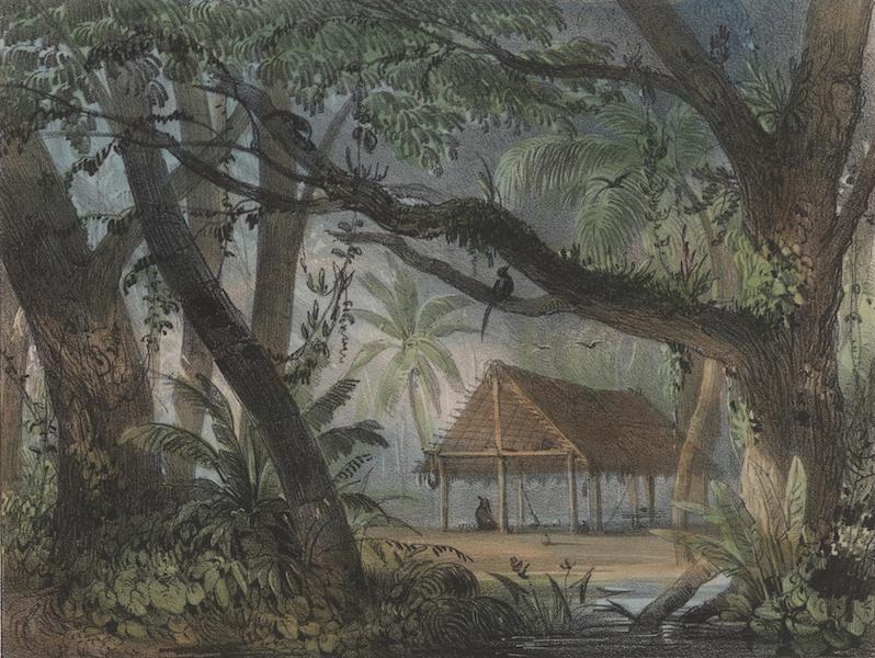 Voyage a Surinam - Interieur d'un carbet (1839)