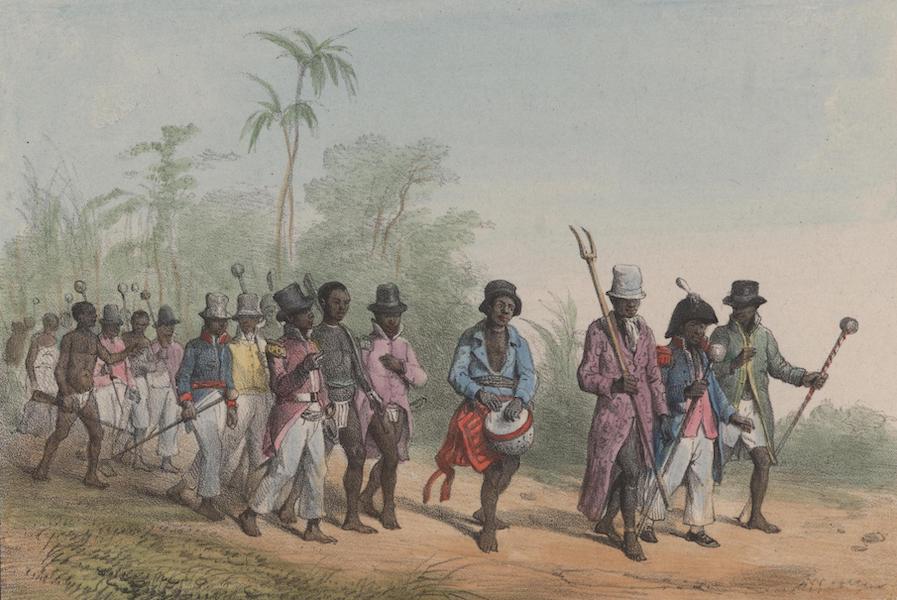 Voyage a Surinam - Une marche (1839)