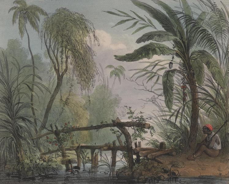 Voyage a Surinam - Un pont garde par un esclave (1839)