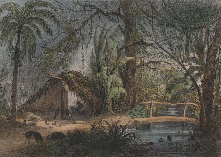 Voyage a Surinam - Un combe (1839)