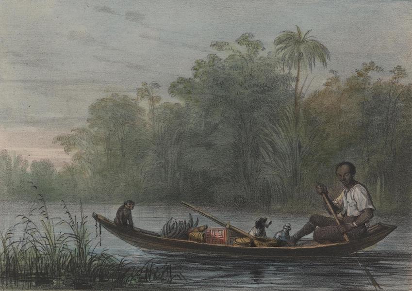 Voyage a Surinam - Un canot de negre-marron (1839)