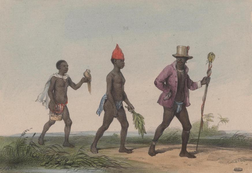 Voyage a Surinam - Un chef en voyage (1839)