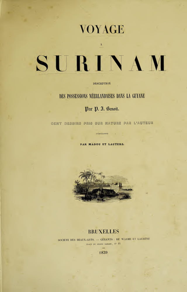 Voyage a Surinam