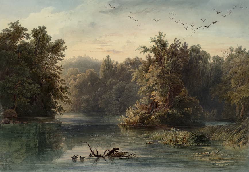 Voyage dans l'Interieur de l'Amerique du Nord Atlas - Wald-Ansicht am Lecha (Pennsylvanien). / Forêt sur le Lehigh (Pennsylvanie). / Forest scene on the Lehigh (Pennsylvania). (1840)
