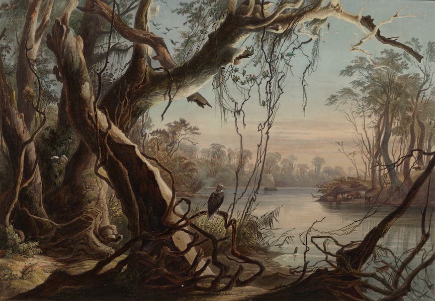 Voyage dans l'Interieur de l'Amerique du Nord Atlas - Mündung des Fox-River (Indiana). / Embouchure du Fox-River (Indiana). / Mouth of the Fox River (Indiana). (1840)