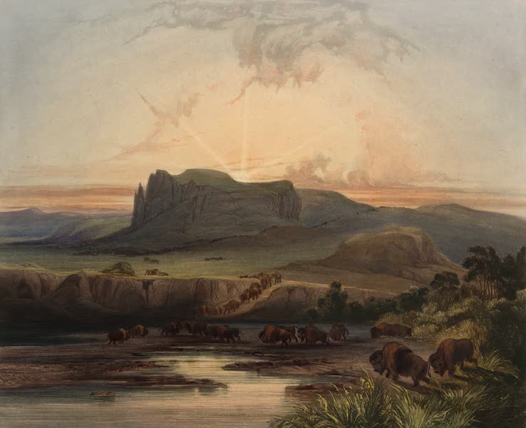 Voyage dans l'Interieur de l'Amerique du Nord Atlas - Bisonheerge am obern Missouri. / Troupeau de bisons sur le haut Missouri. / Herd of bisons on the upper Missouri. (1840)