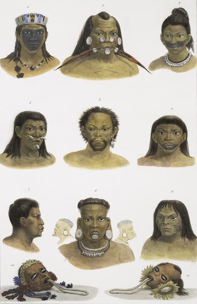 Voyage Pittoresque et Historique au Bresil Vol. 1 - Tetes differentes Castes Sauvages (1834)