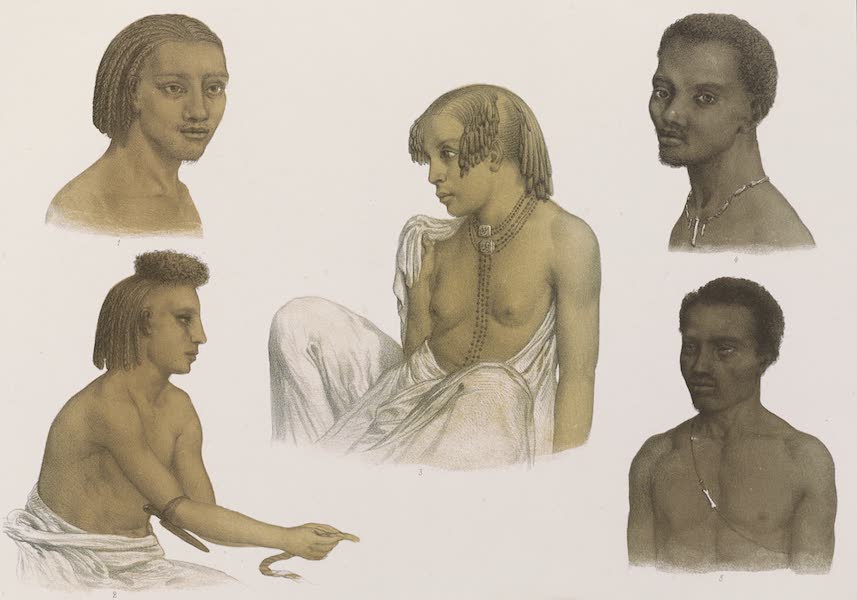 Planche 29. Types de figures de diverses contrées.