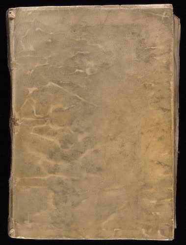 Manuscripts - Voynich Manuscript
