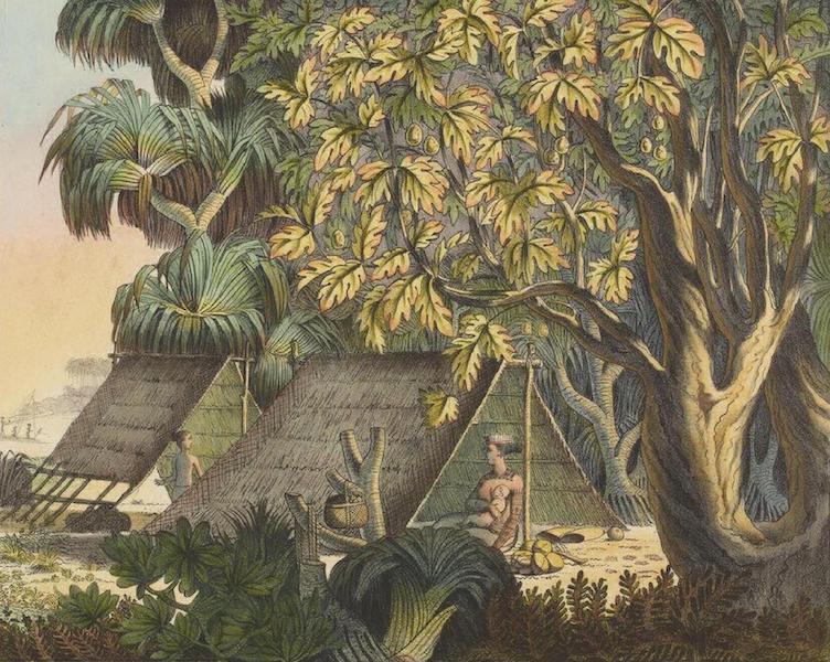 Vues et Paysages des Regions Equinoxiales - Vue dans les Iles Radak (1826)
