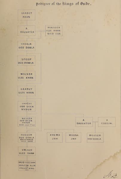 Pedigree of the Kings of Oude