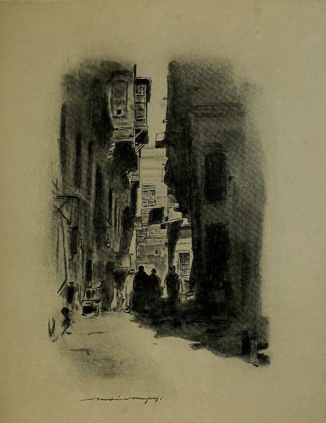 A Cairo Street