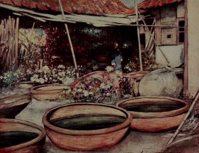 World Pictures : Being a Record in Colour - Nursery Garden (1902)