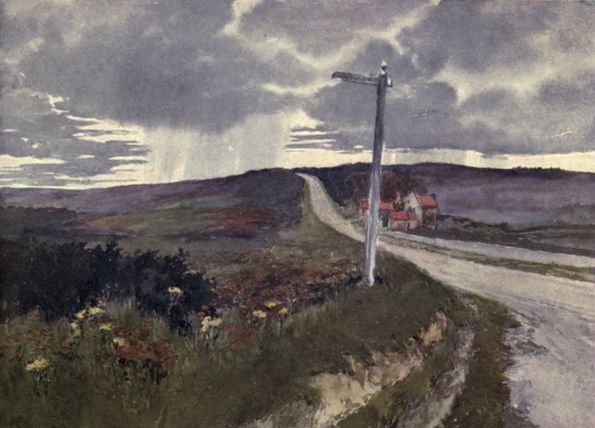 Yorkshire Coast and Moorland Scenes Painted and Described - On Barnby Moor (1904)