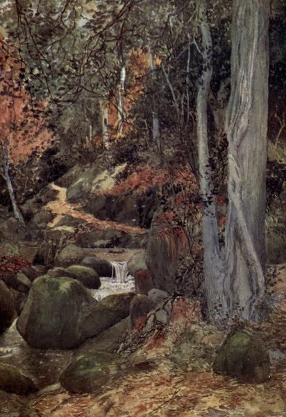 Yorkshire Coast and Moorland Scenes Painted and Described - In Mulgrave Woods (1904)