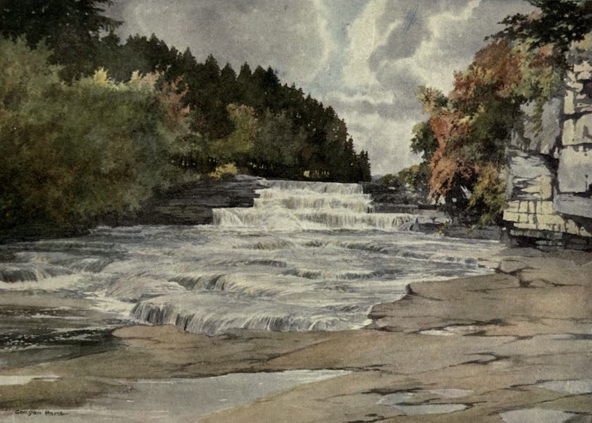 Aysgarth Force