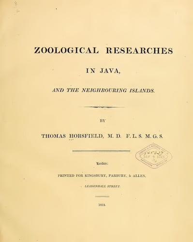 Maldives - Zoological Researches in Java