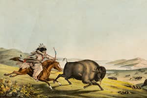 Collections - American Indians