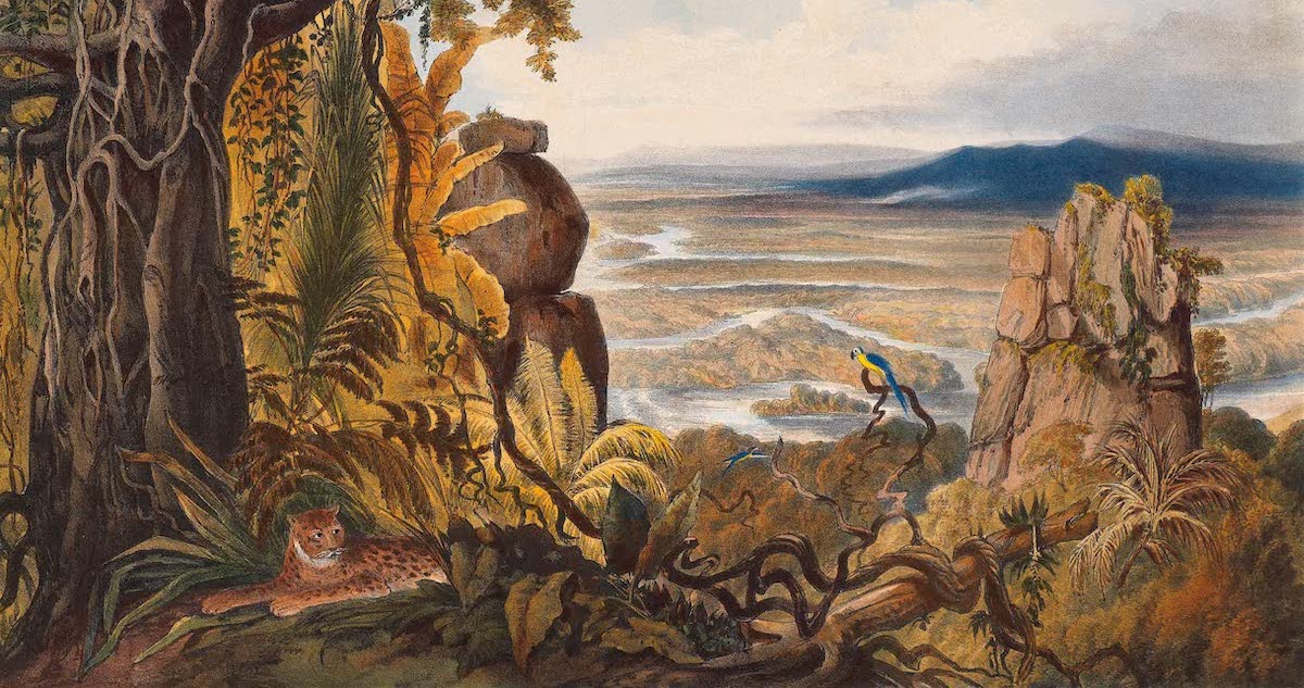 British Guiana Collection History Archive