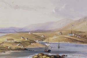 Collections - Falkland Islands