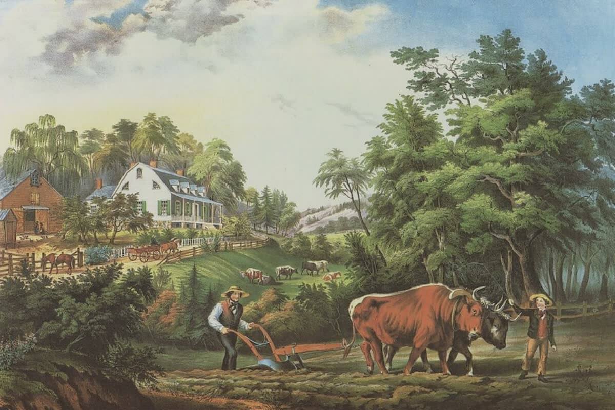 History Archive - Farming Collection