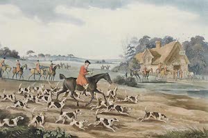 Collections - Hunting