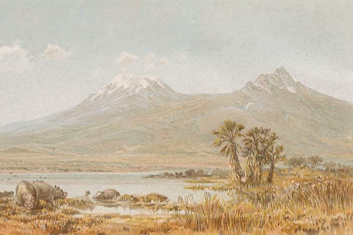 History Archive - Kilimanjaro Collection