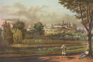 Collections - Mexico