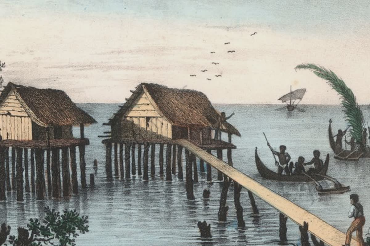 History Archive - New Guinea Collection