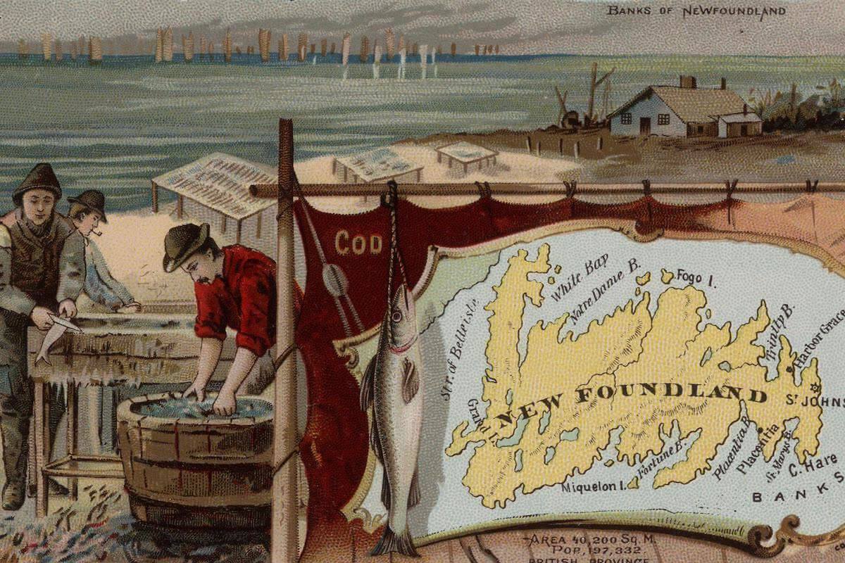History Archive - Newfoundland Collection