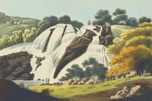 Collections - Nilgiri Mountains