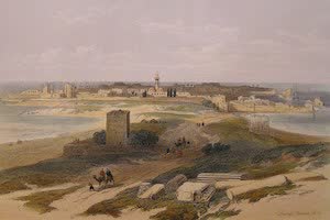 Collections - Phoenicia