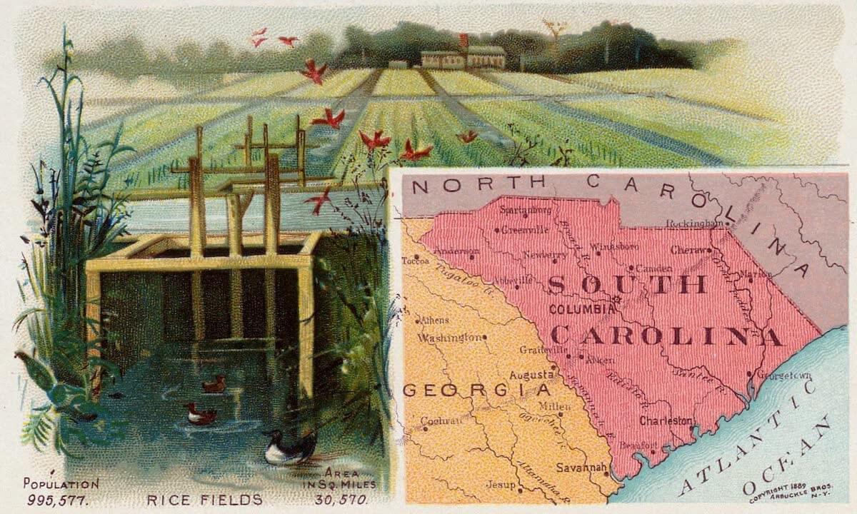 History Archive - South Carolina Collection