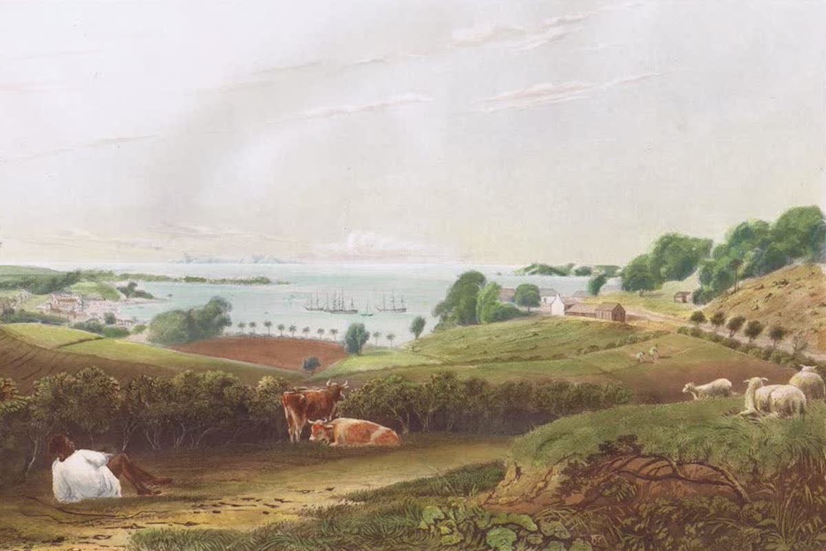 History Archive - St. Vincent Collection
