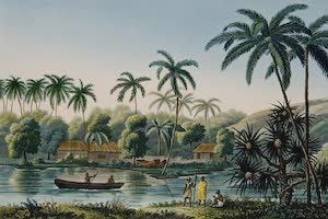 Collections - Tahiti