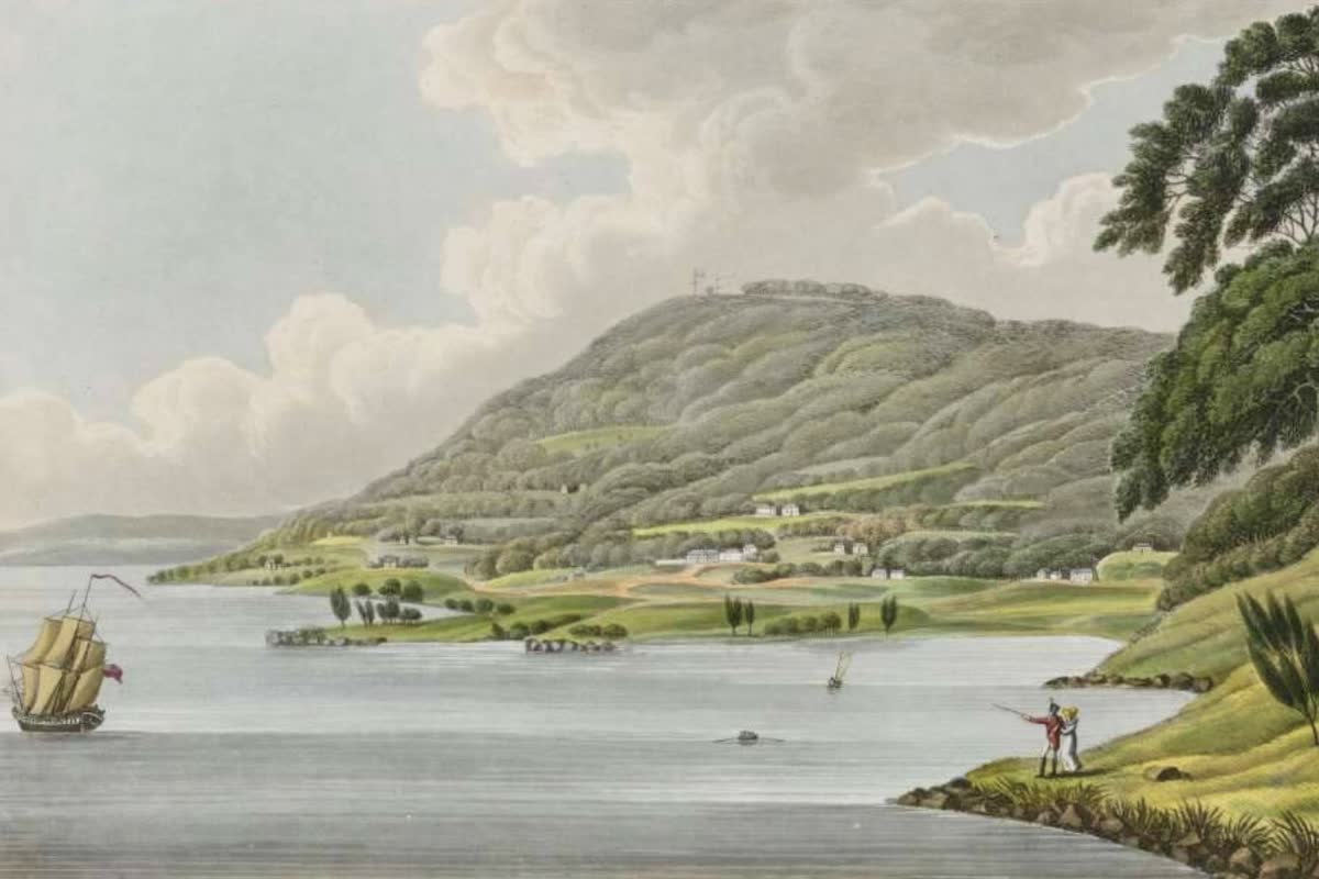 History Archive - Tasmania Collection