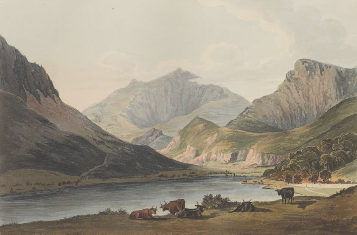 History Archive - Wales Collection